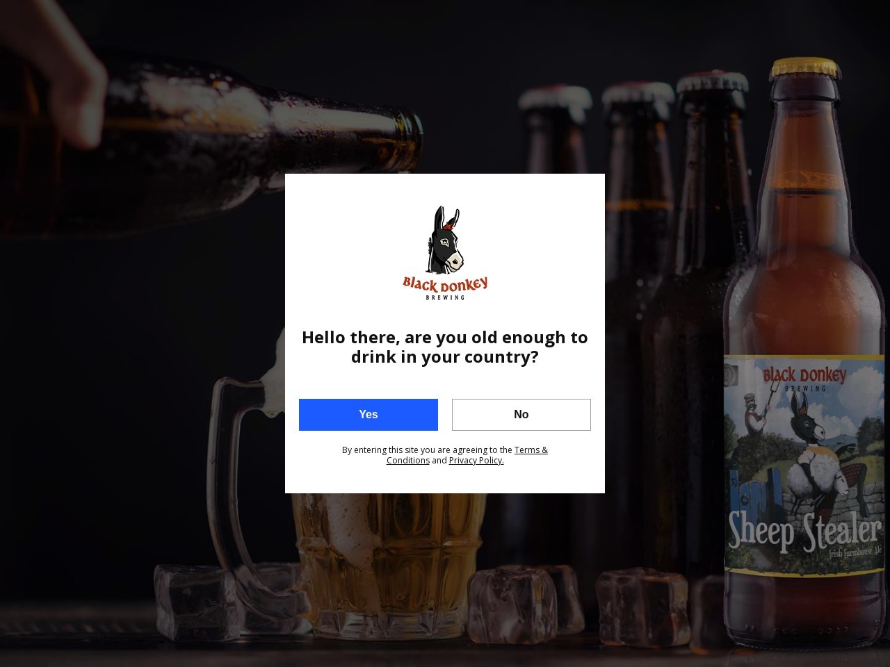 Black Donkey Brewing – Wild Irish Craft at Its Best